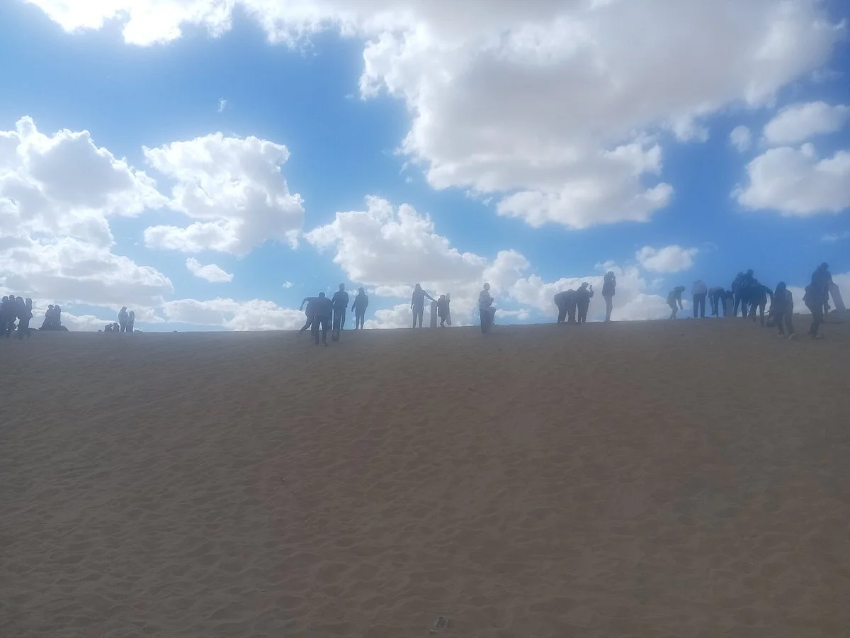 Egypt Best Day Tours