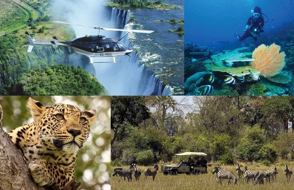 Edge Travel and Safaris