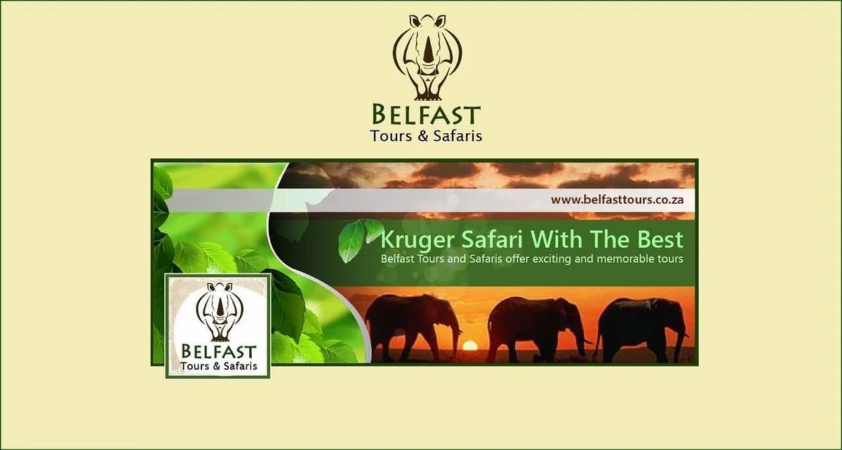 Belfast tours and safaris