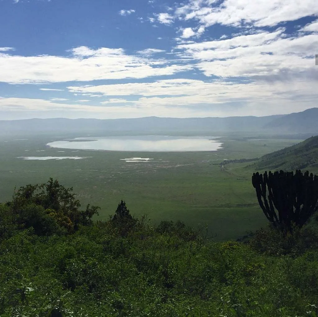 Ngata Expeditions