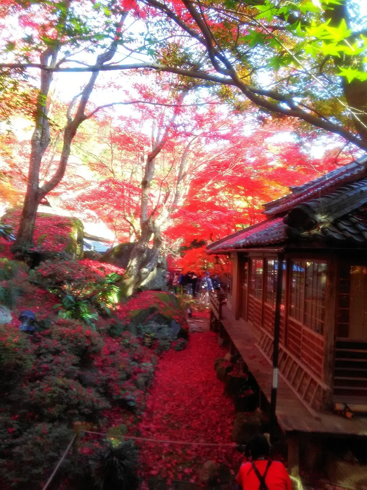 Kyorimbo Temple