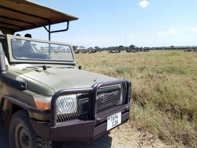 JJM Tours and Safari