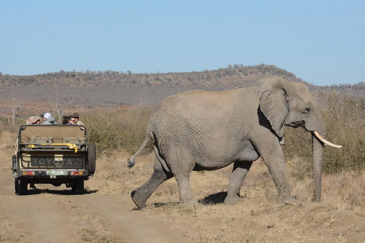 TWK Family Adventure Tours