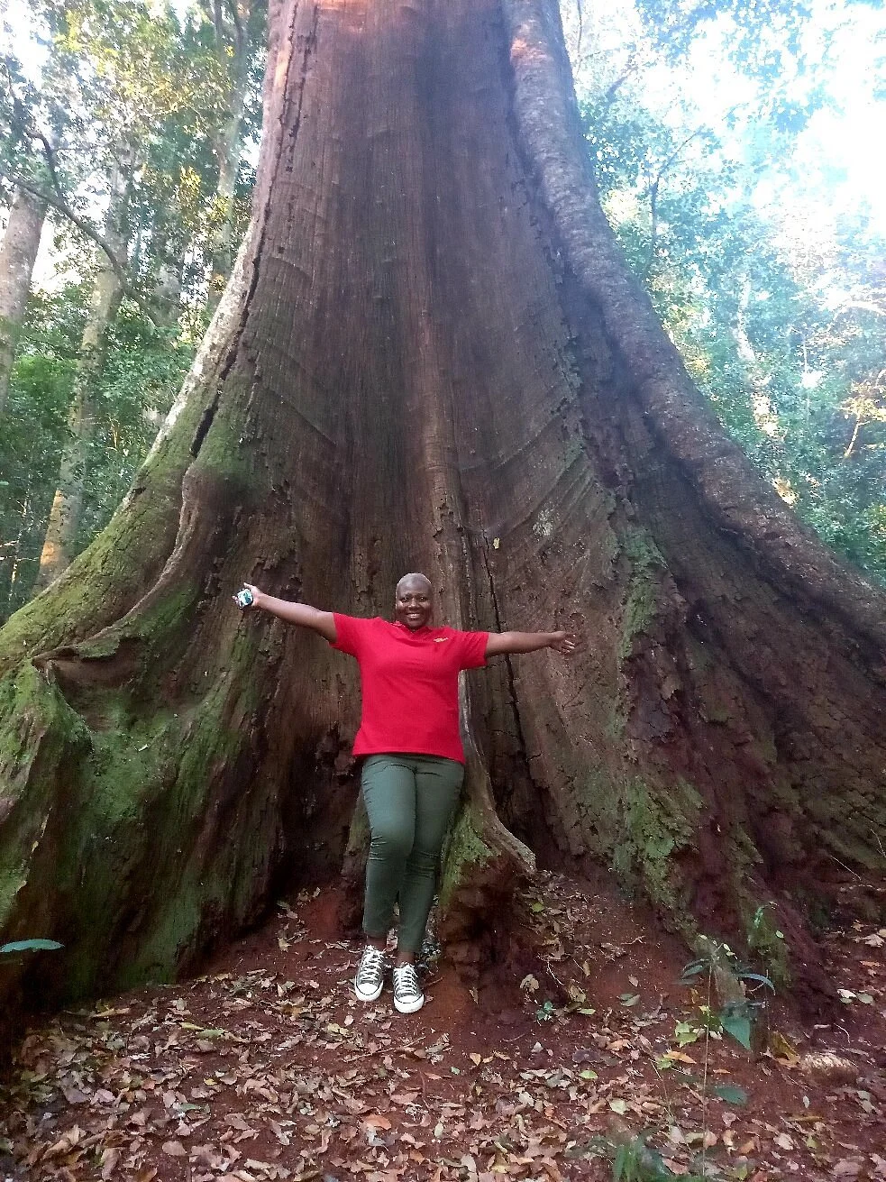 Chirinda Forest Reserve