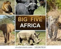 Africabig5safaris, Tours and Adventures