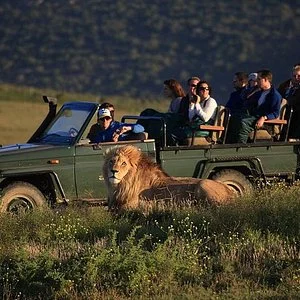 Navigator Tours - Day Tours