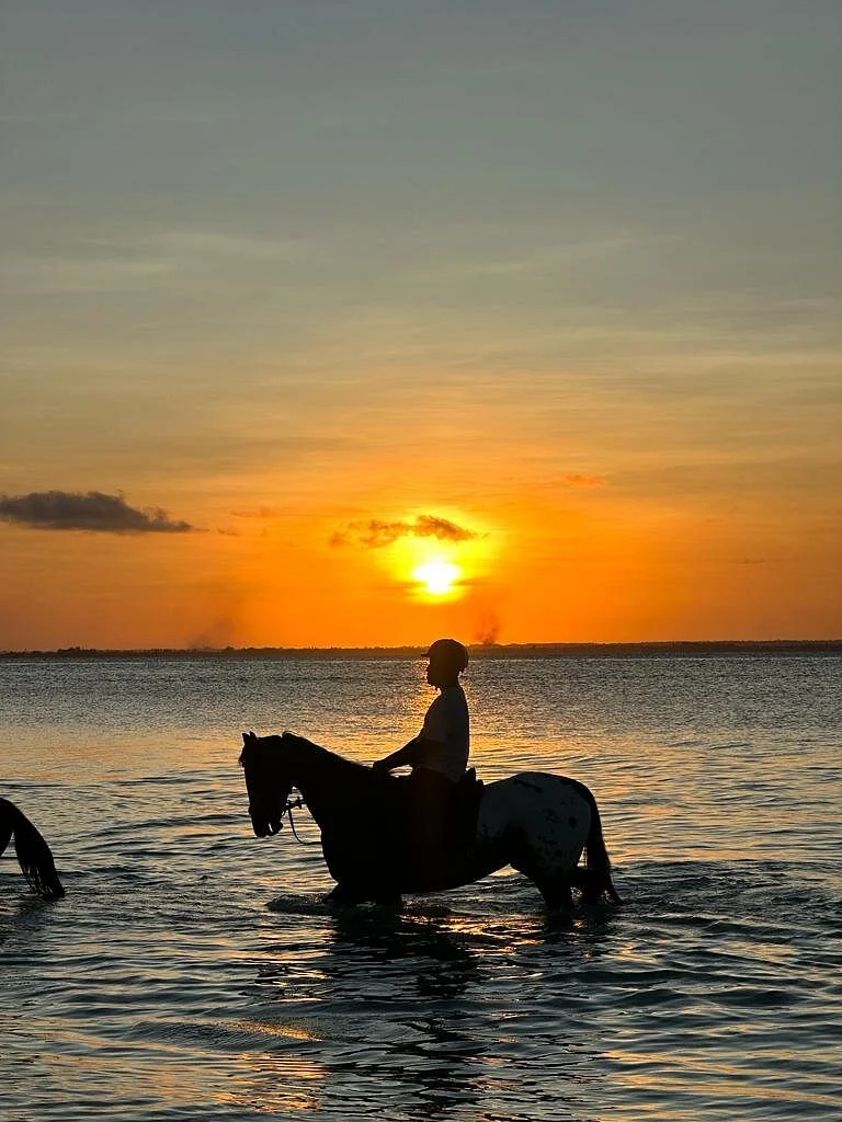 Royal Stable Zanzibar
