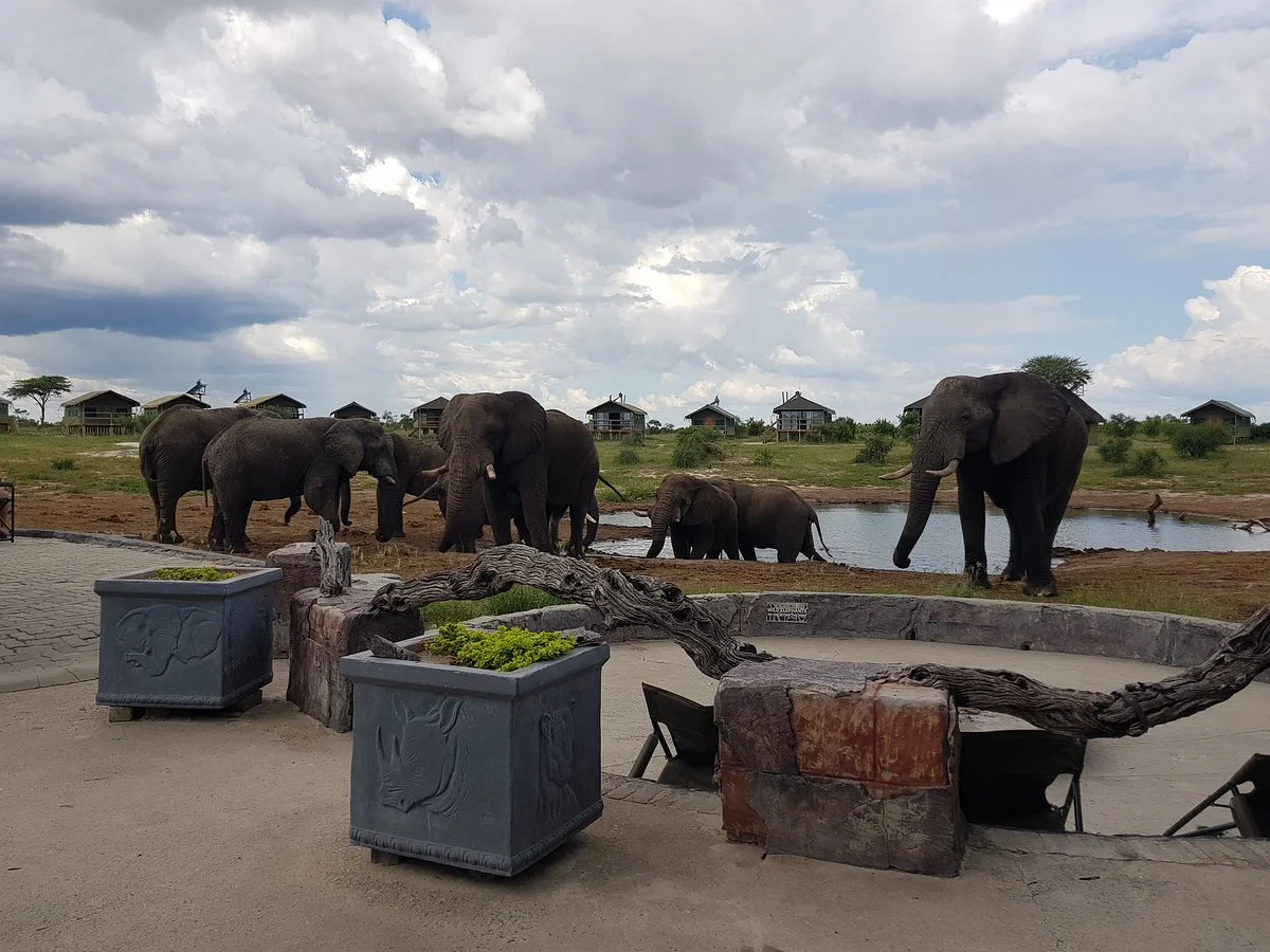 Escape to Adventure Safaris