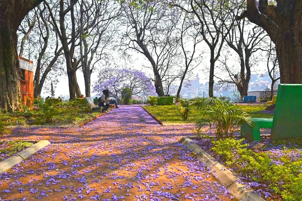 Jardin D'antaninanerina