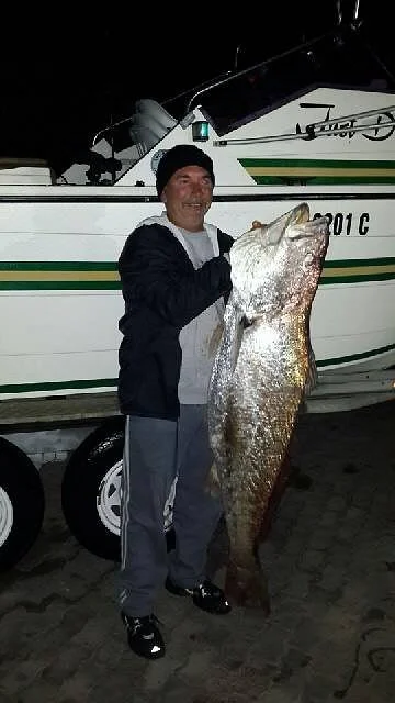 Dream Charters