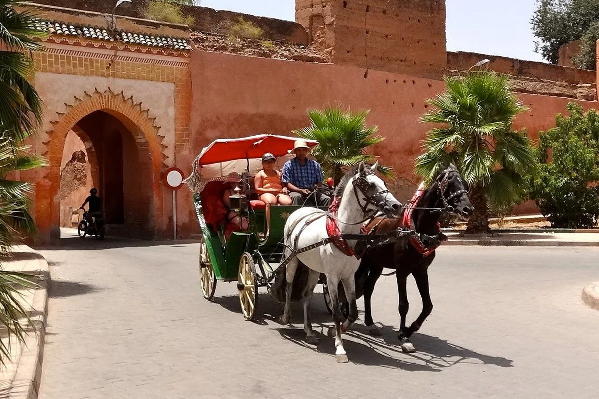 Discover Morocco