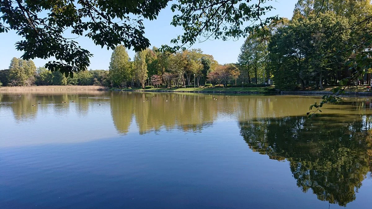 Doho Park