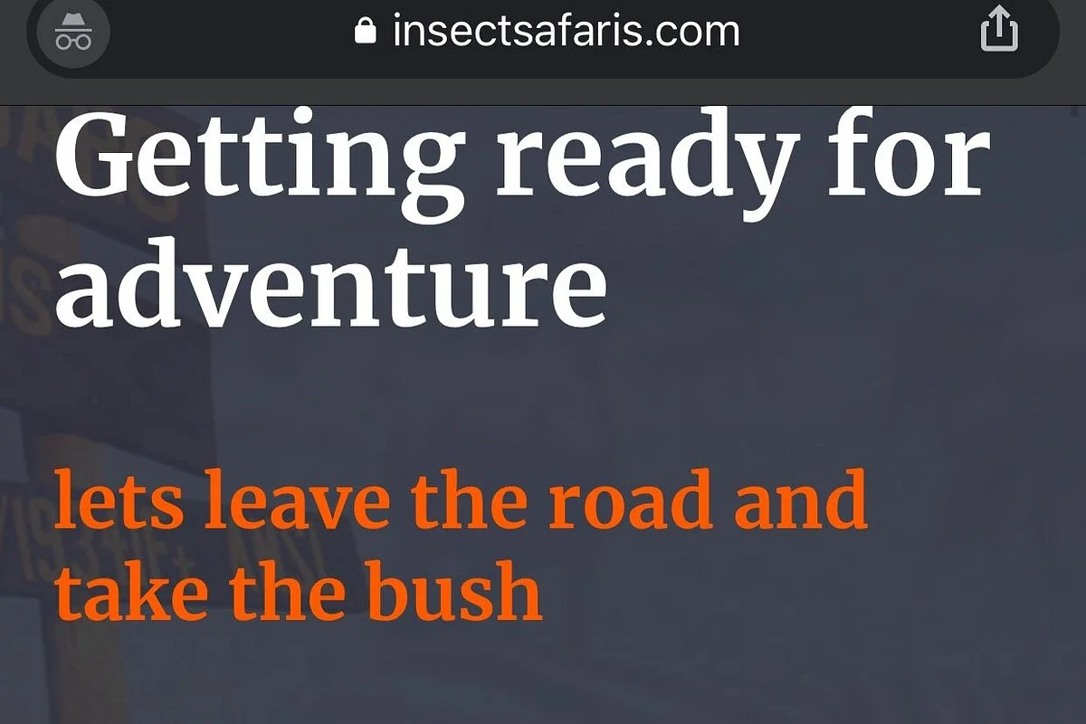 Insect safaris