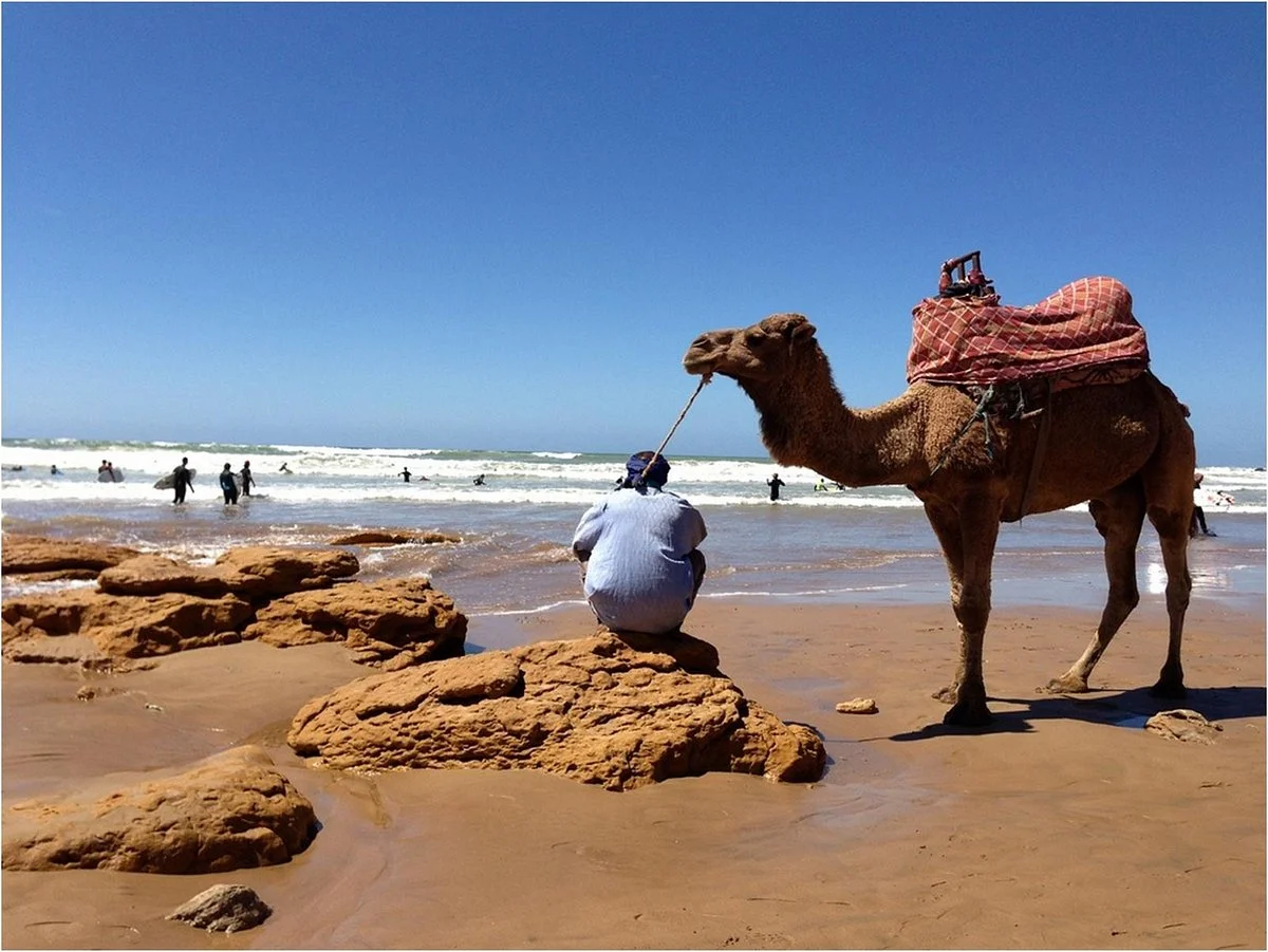 Abo Surf Morocco