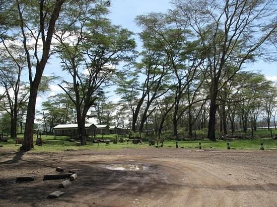 Walking Safaris