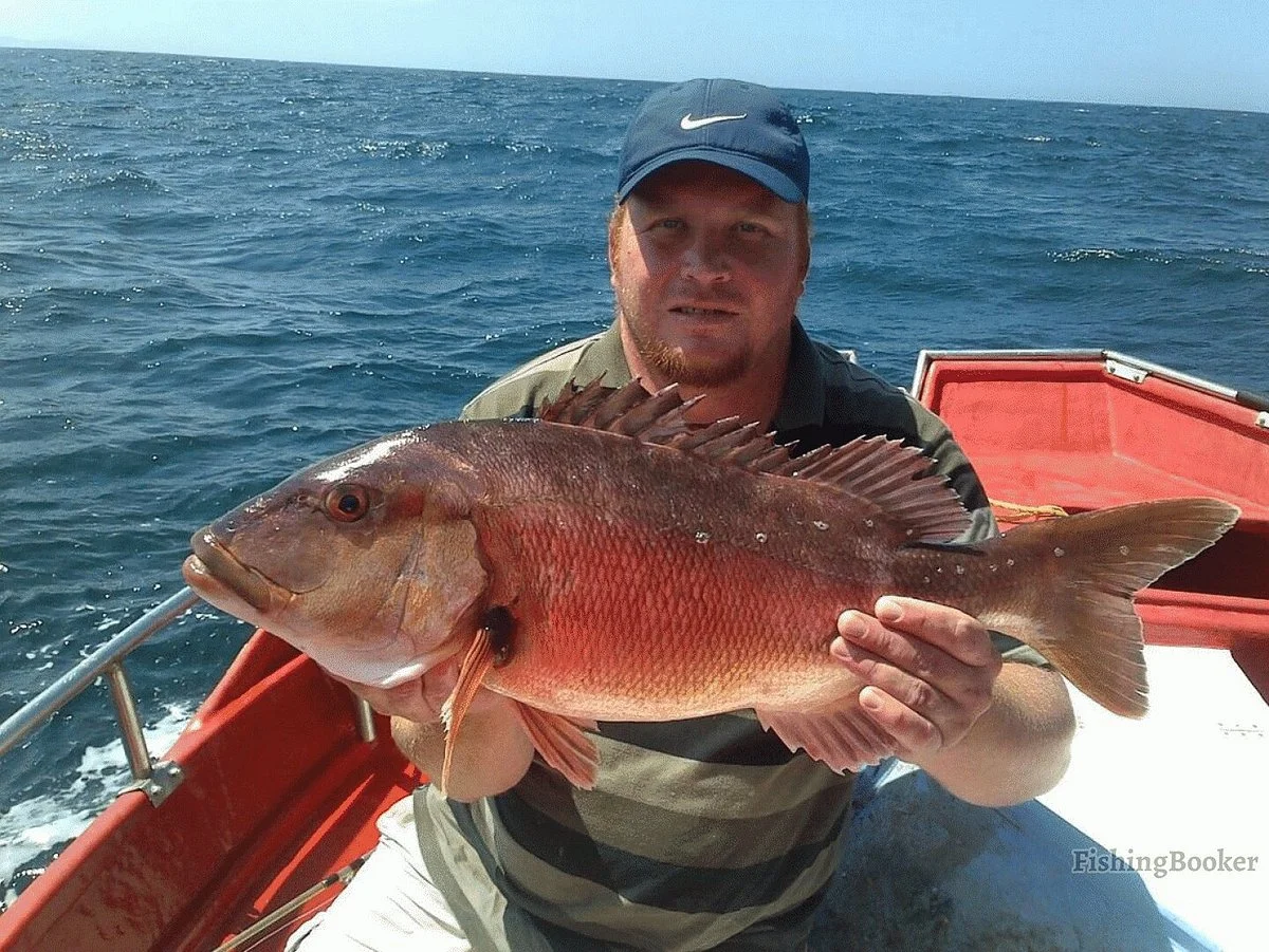 Knysna Deep Sea Fishing Charters