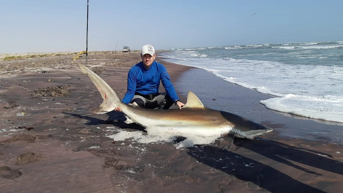 Sea Ace Fishing Adventures