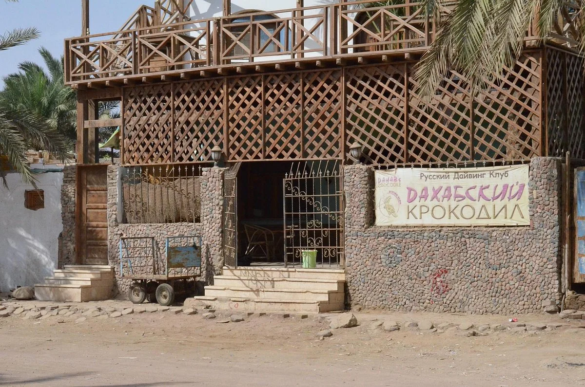 Dahab's Crocodile