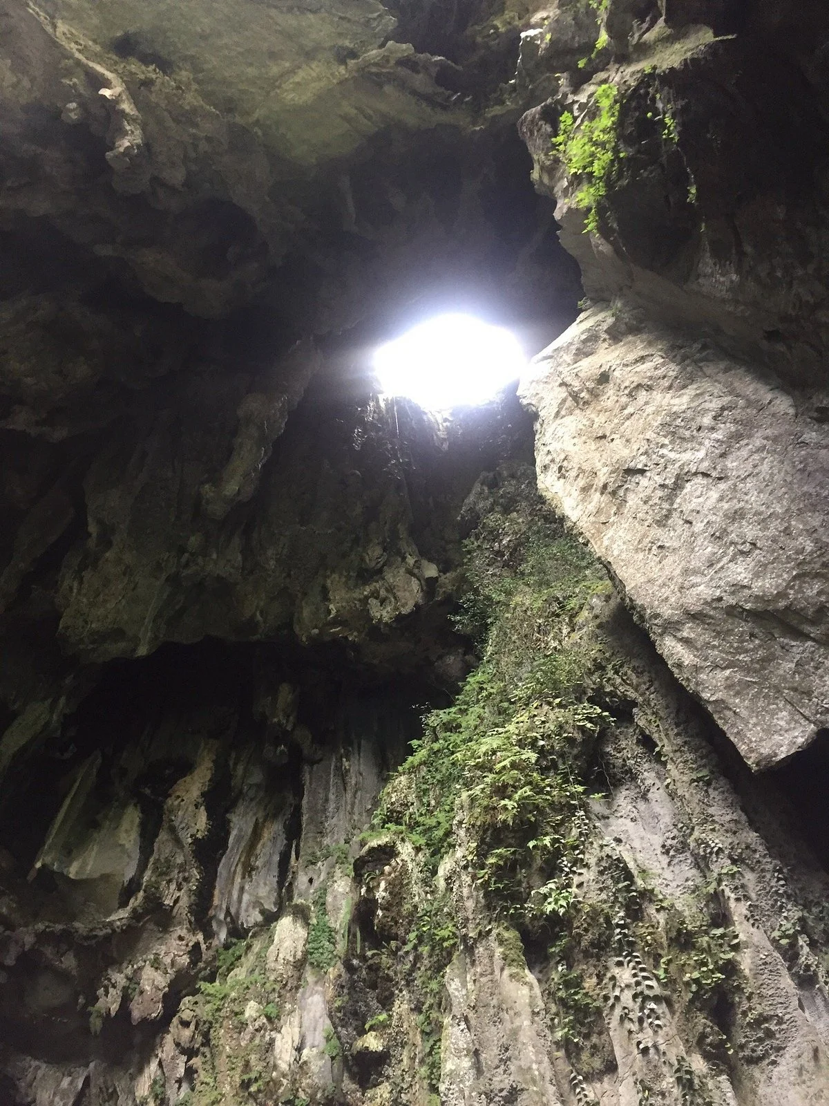 Daylight Hole Cave