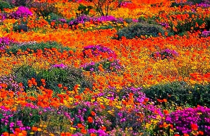 Namaqualand MTB Trail