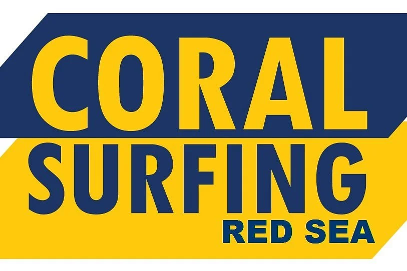 Coral Surfing Red Sea