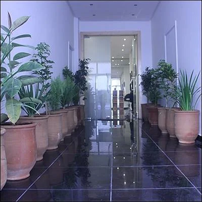 Jasmin et Citronnelle SPA