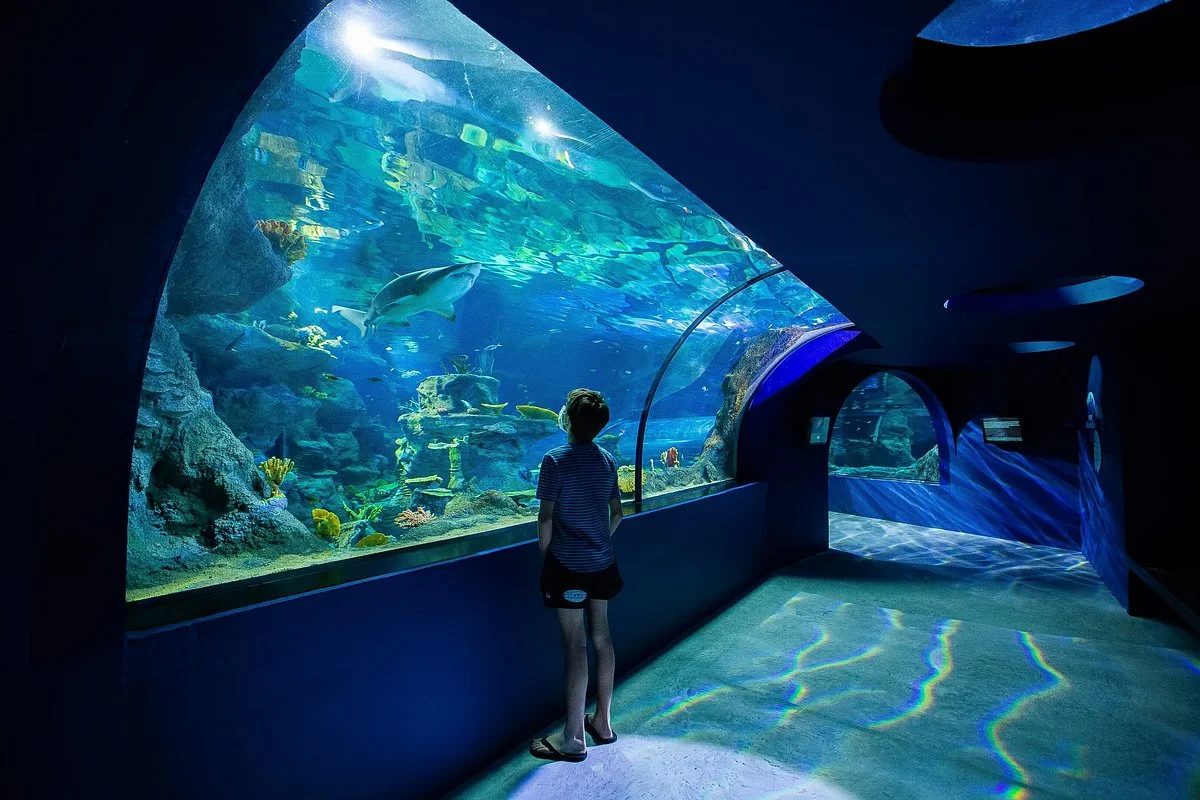 Odysseo Oceanarium Mauritius