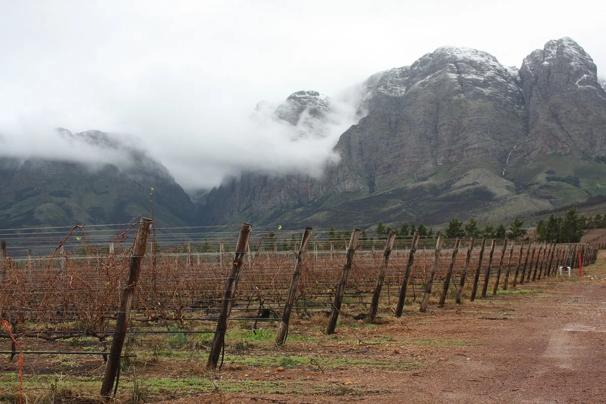 Fine Wine Tours