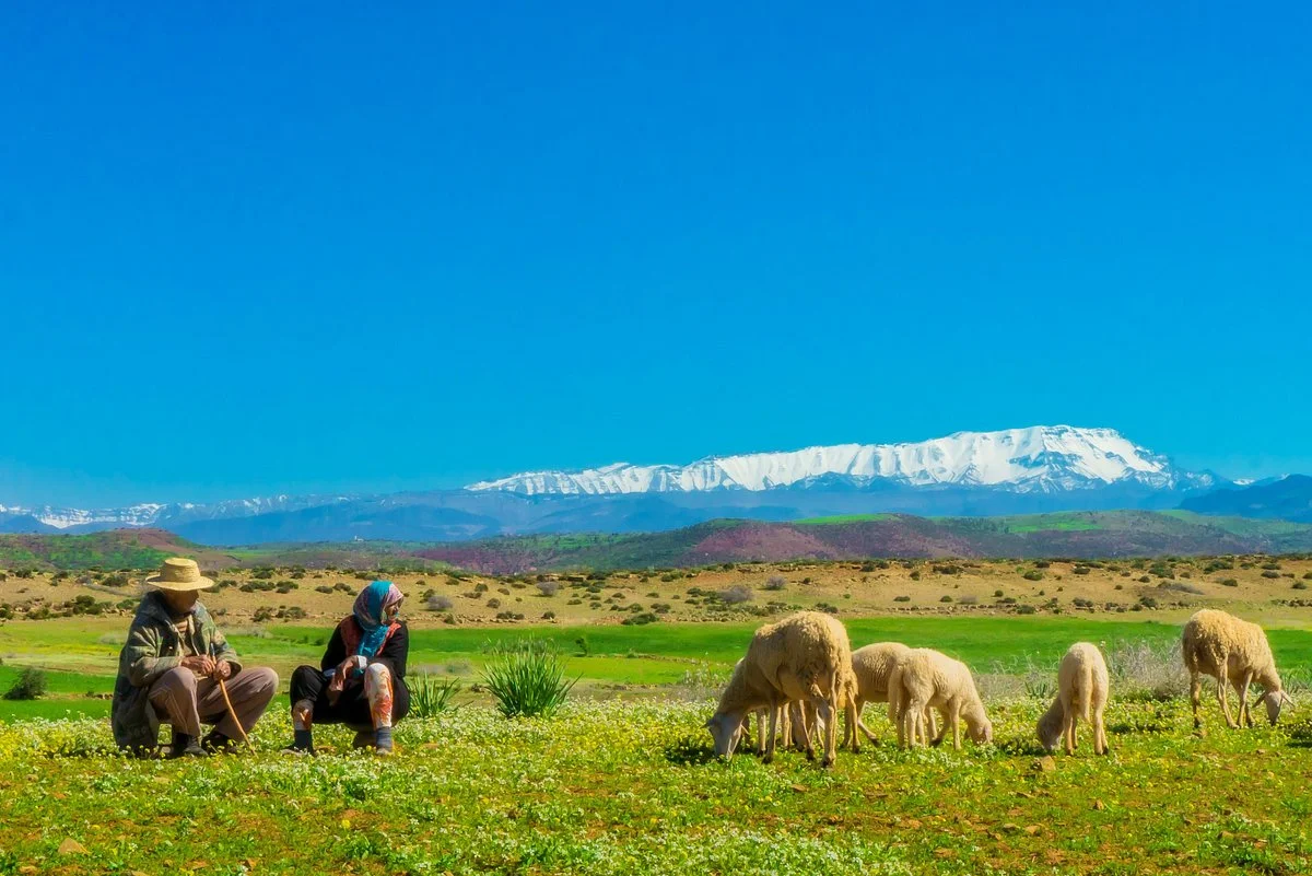 Atlas Morocco Tour