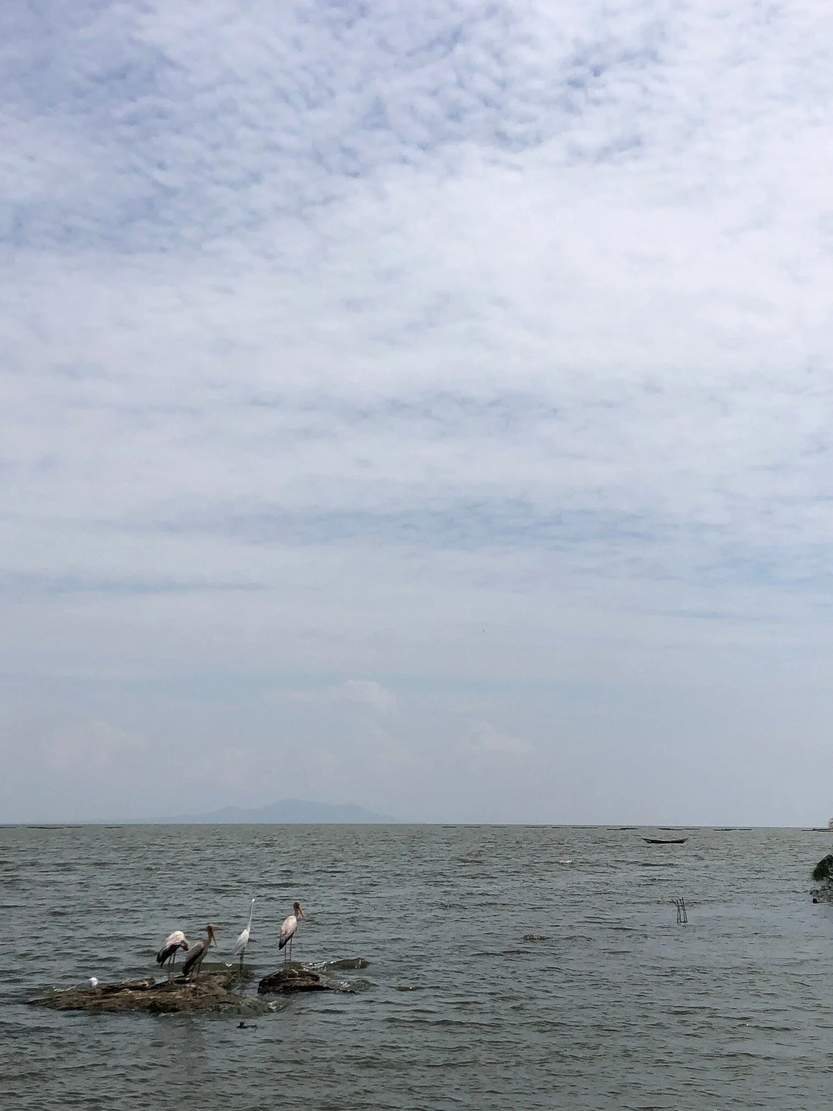 Dunga Beach