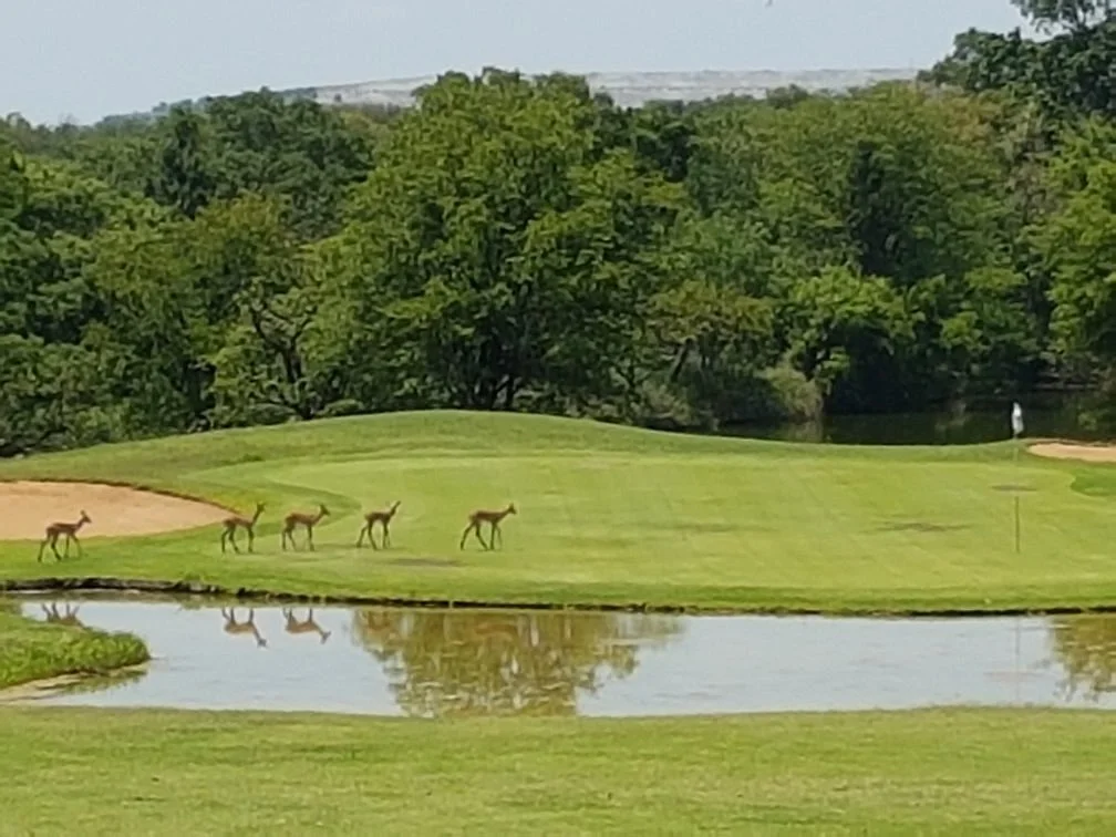 Hans Merensky Golf Course
