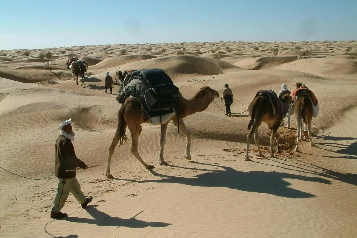Tunisie Voyages