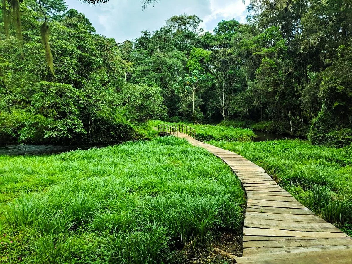 Ragati Conservancy, Mt Kenya