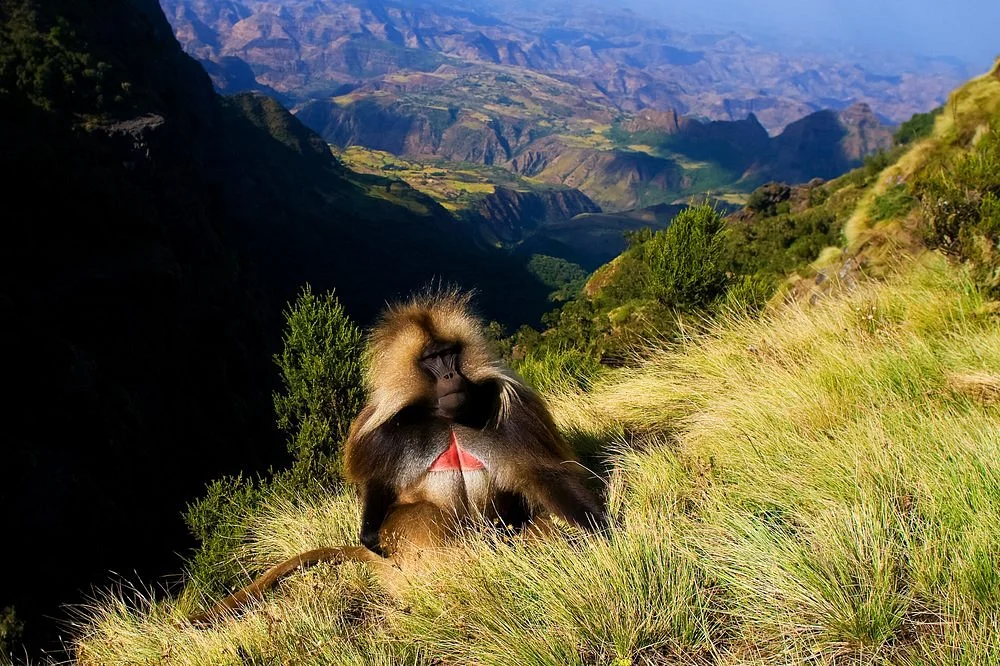 Ethio Travel and Tours