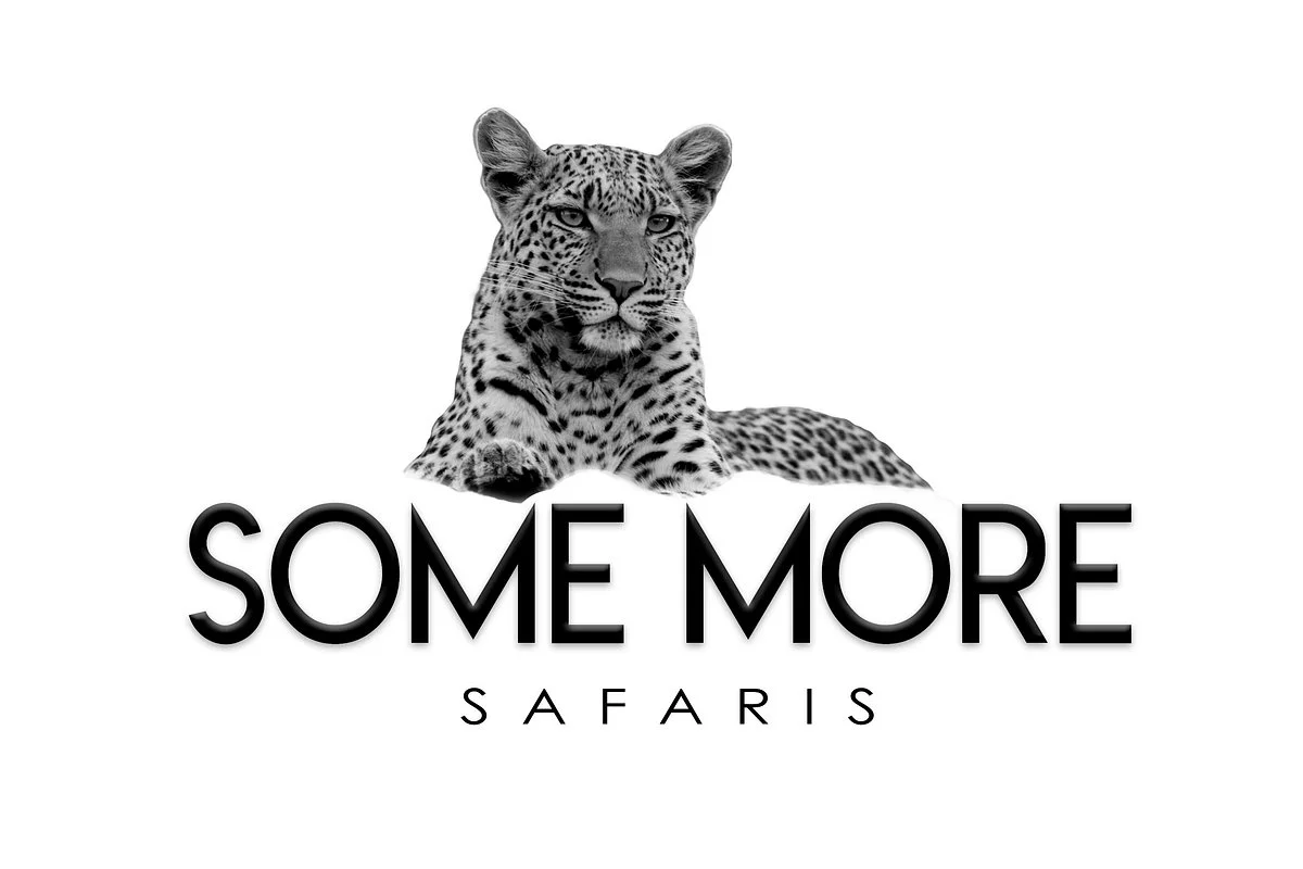 Some More Safaris