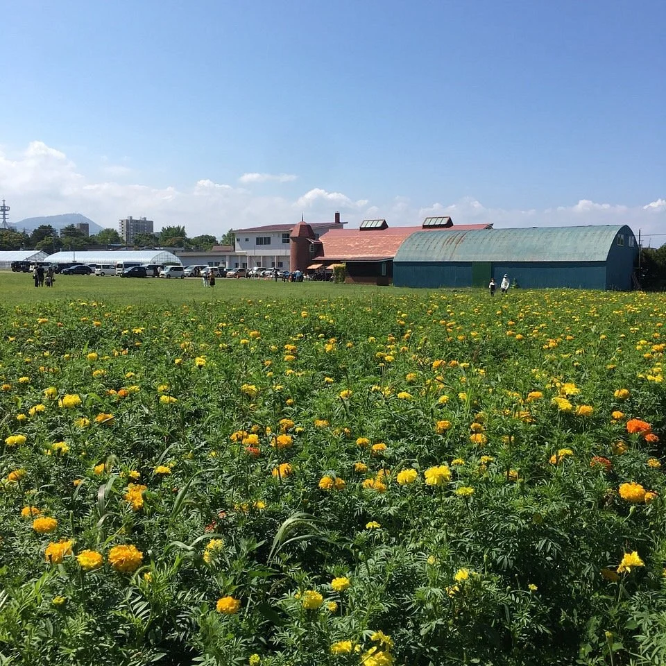 Hakko Gakuen Farm Market, Original Deli Products