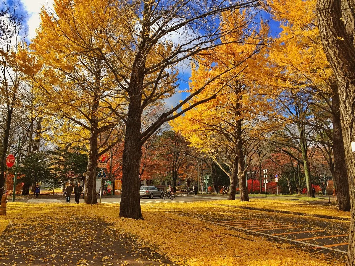 Hokkaido University Sapporo Campus