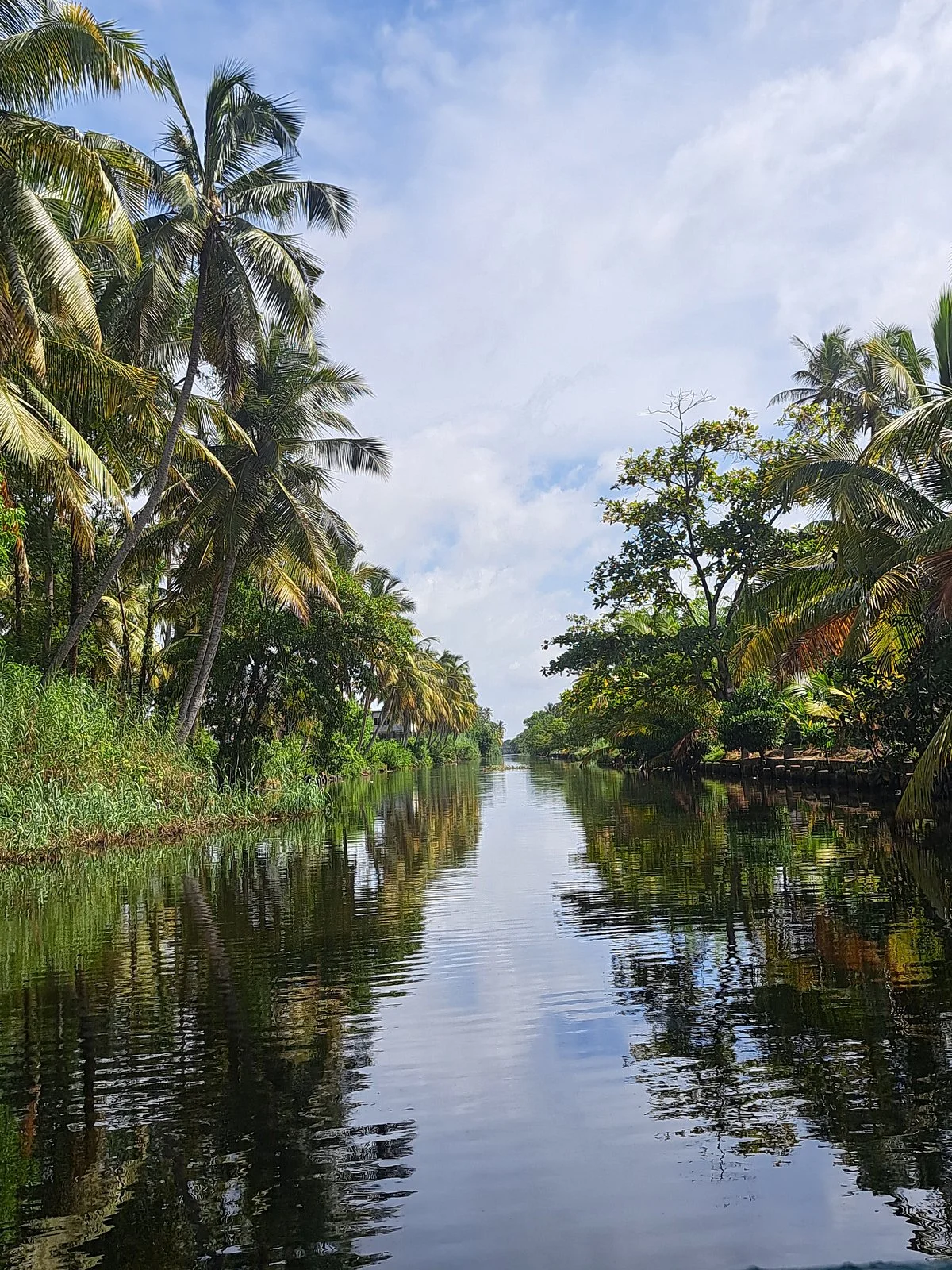 Muthurajawela Marsh