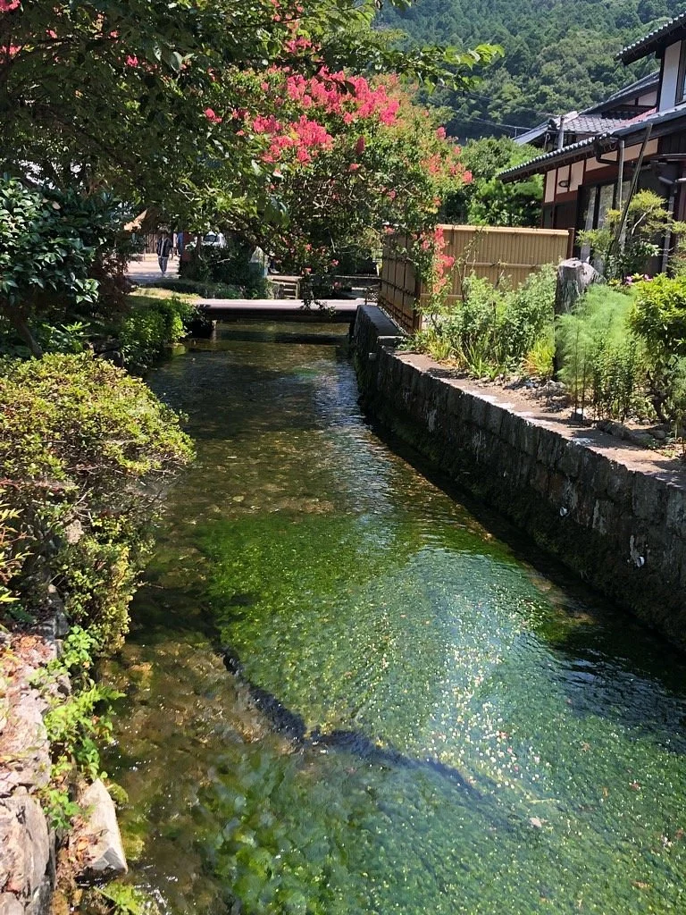 Samegaijyuku