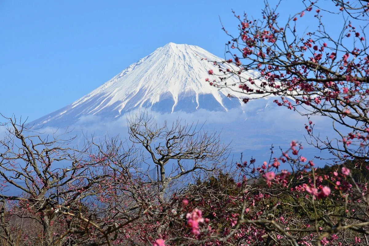 Iwamotoyama Park