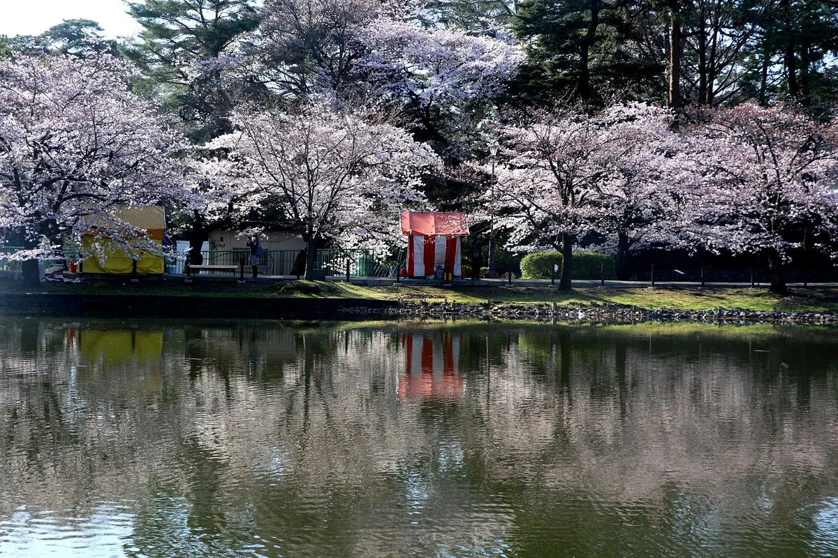 Saitama Prefecture Omiya Park