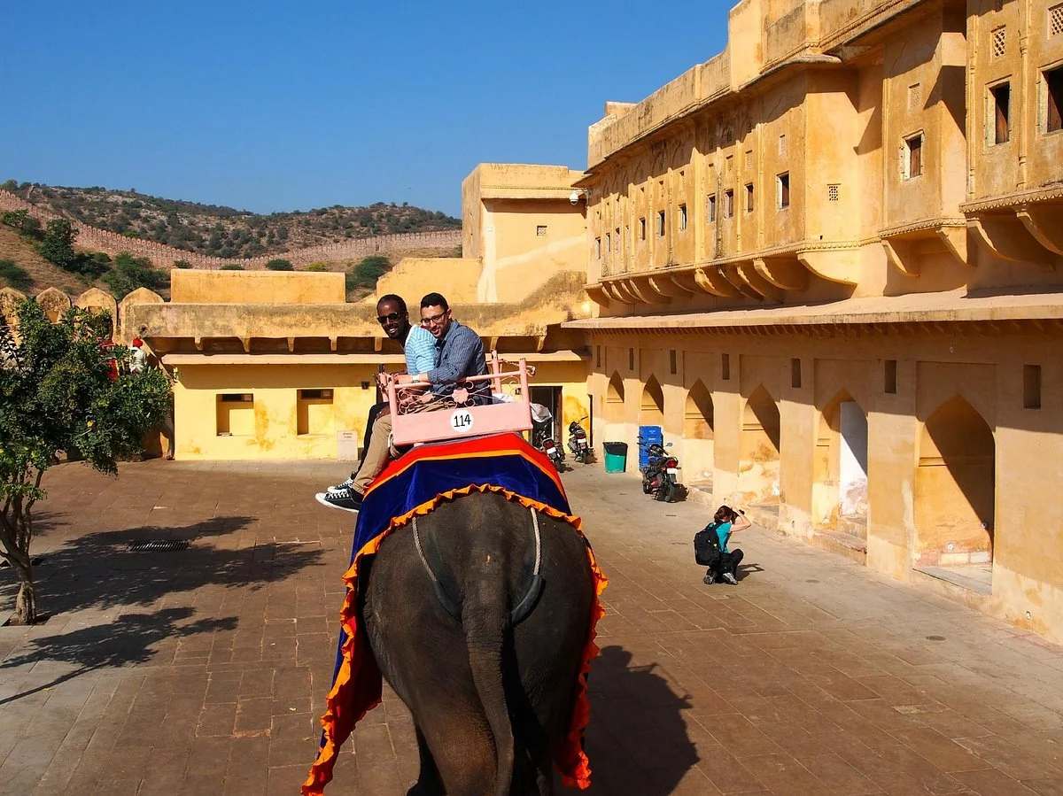 Amer Elephant Safari