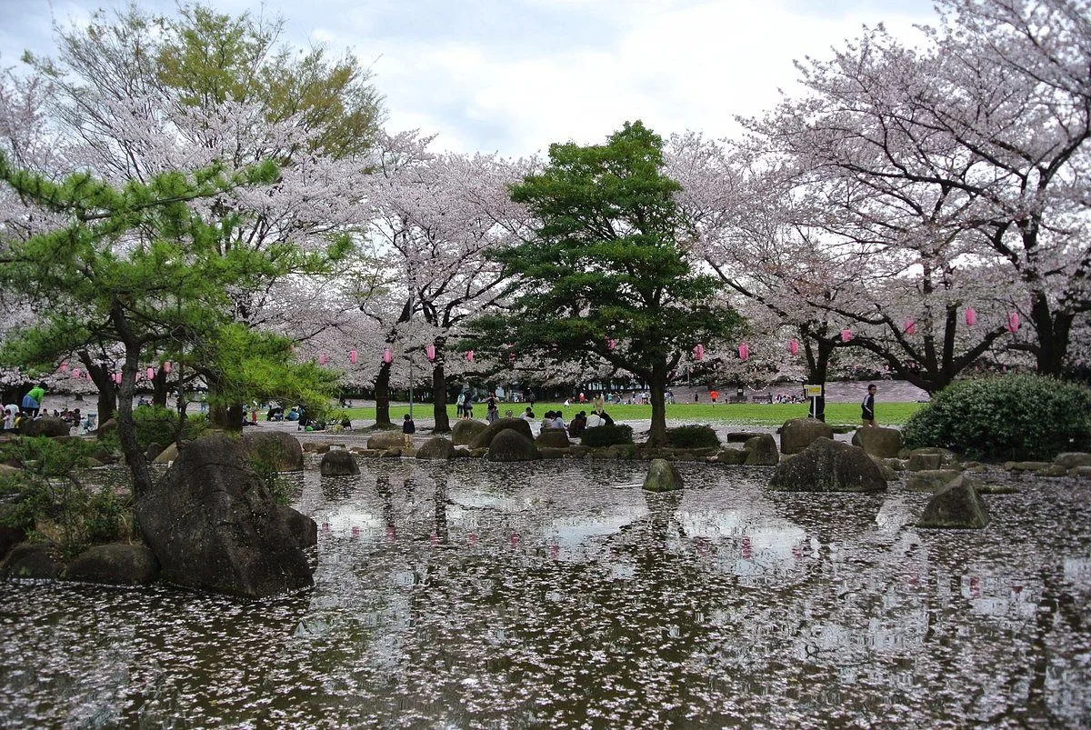 Warabi City Park