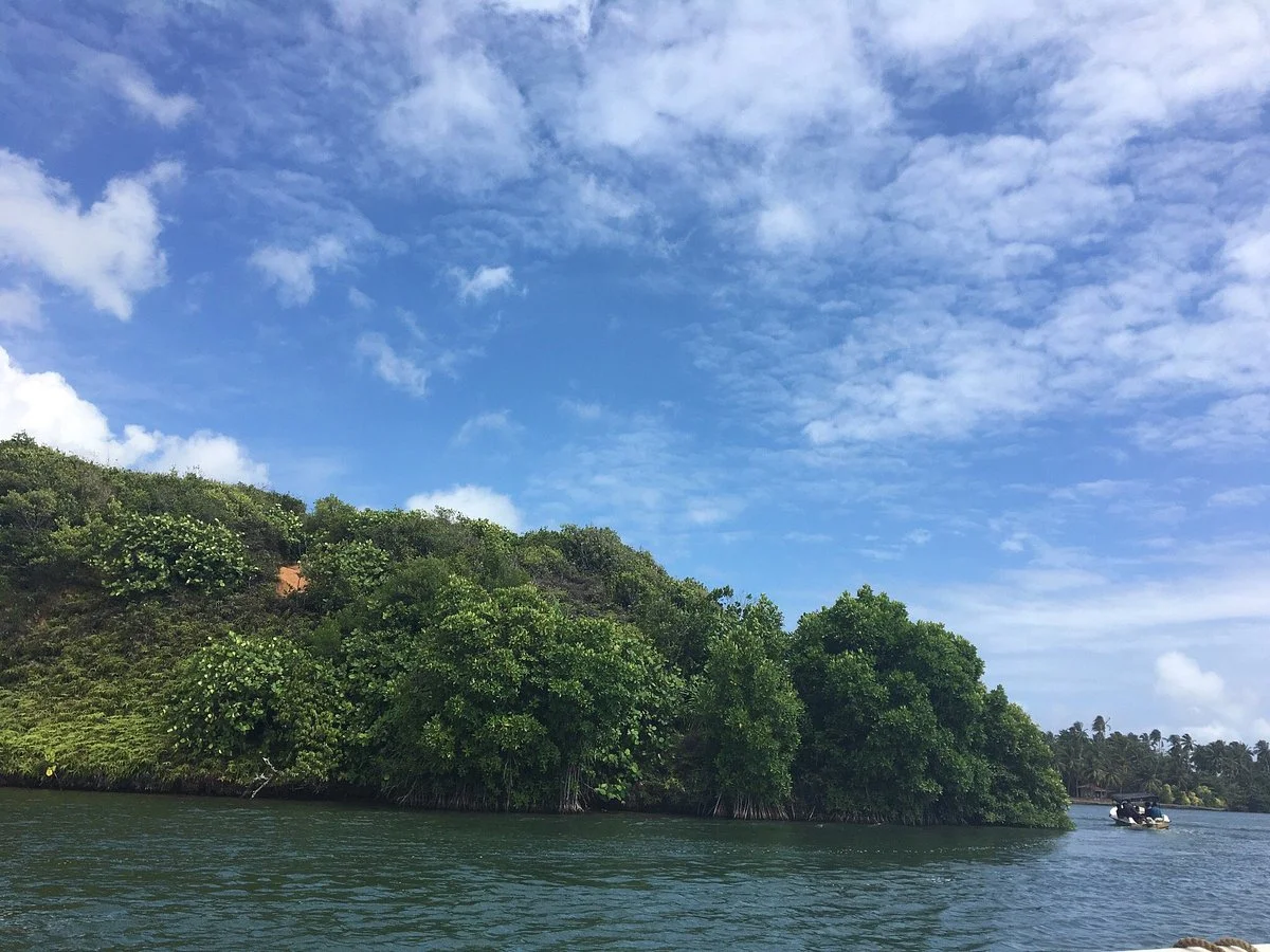 Koggala Lake