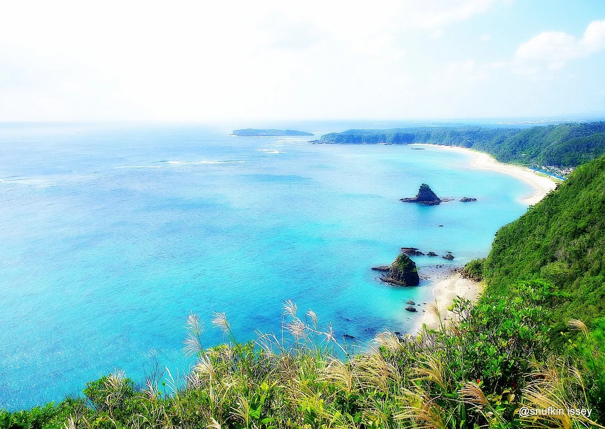 Hill With a View of the Dugong