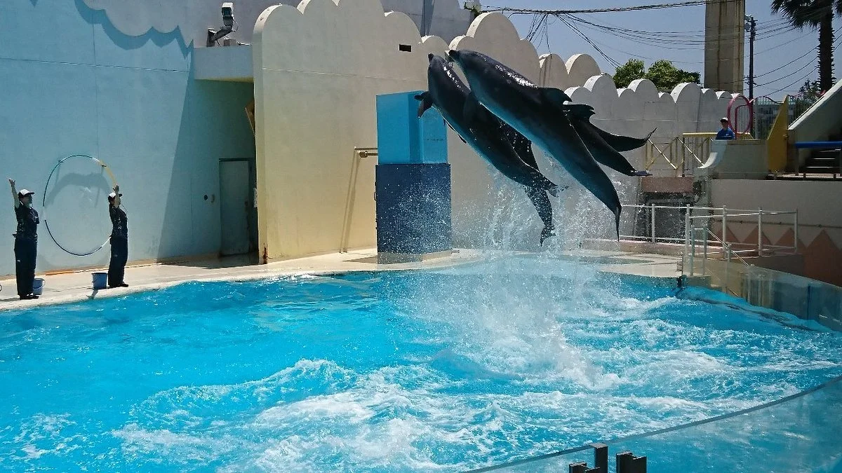 Suma Aqualife Park Kobe
