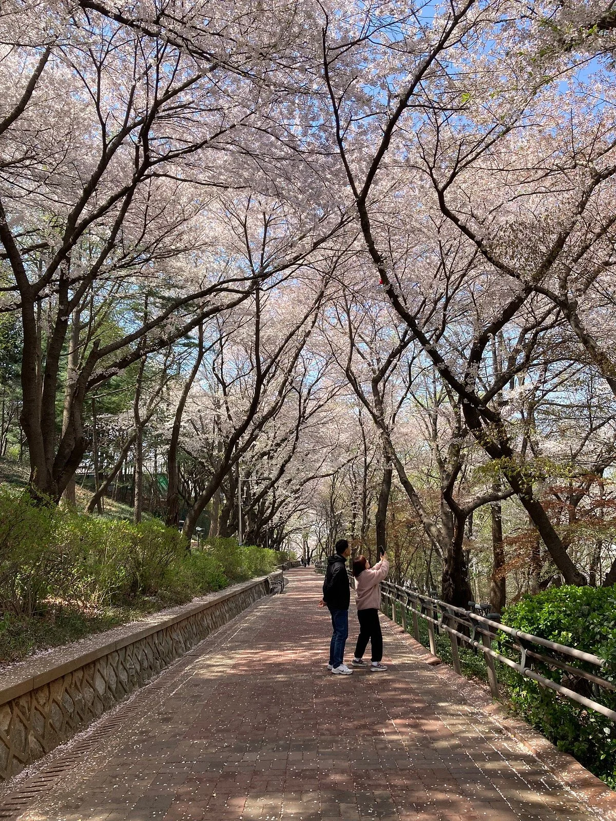 Incheon Jayu Park