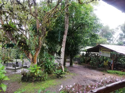 Mindo - Photo 2