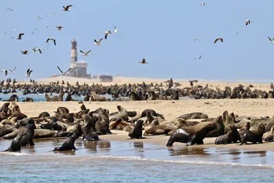 Walvis Bay - Photo 3