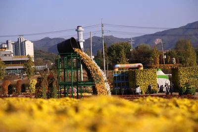 Yeoncheon-gun - Photo 3